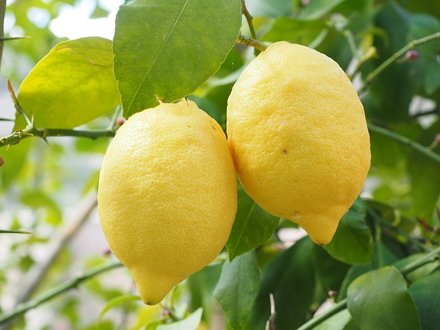 lemons for fish sauce